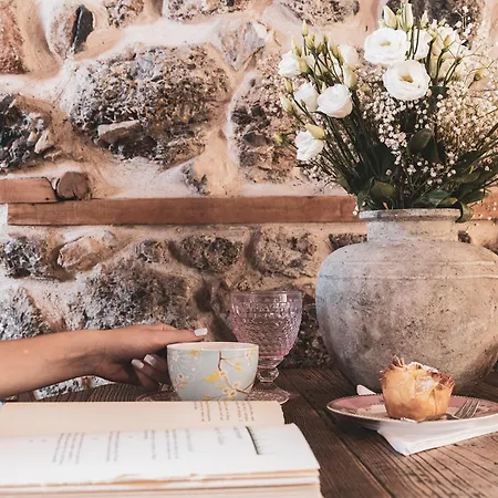 Robolo Boutique By H&t